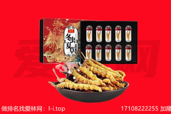 西昌市回收虫草.jpg